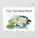 Suche nach lotus postkarten Teich