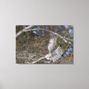 Suche nach jaynes galerie leinwandbilder Superstock