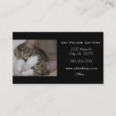 Suche nach tabby visitenkarten Katzen