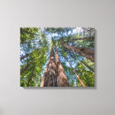 Suche nach redwood leinwandbilder Wälder