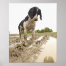 Suche nach schlamm poster Vertikal