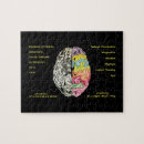 Suche nach gehirn puzzle Wissenschaft