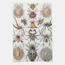 Suche nach haeckel geschirr tücher Heckel