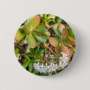 Suche nach pflanzen sie blatt buttons Natur