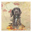 Suche nach cocker spaniel kunst Haustier