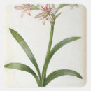 Suche nach amaryllis aufkleber Botanisch