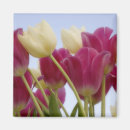 Suche nach paulson Blume