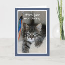 Suche nach spielend karten Katze