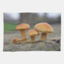 Suche nach makro geschirr tücher Pilz