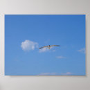 Suche nach ansteigen poster Fliegen