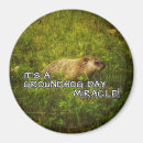 Suche nach wunder magnete Spaß