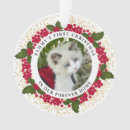 Suche nach cat ornamente Bild