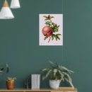 Suche nach granate poster Blume