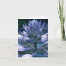 Suche nach hosta karten Für alle