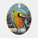 Suche nach ara ornamente Jede person