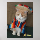 Suche nach gato poster Spaß