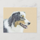 Suche nach australian shepherd postkarten Aussie