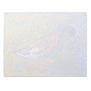 Suche nach federn notizblock Vogelvogel