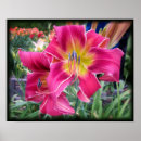 Suche nach taglilien poster Blume