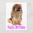 Suche nach alles gute zum geburtstag in lila postkarten Für sie