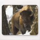 Suche nach besonders mousepads Natur