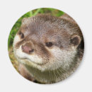 Suche nach otter magnete Spielerisch