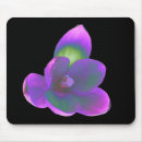 Suche nach krokus blumen mousepads Natur