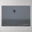 Suche nach diver poster Ozean