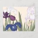 Suche nach lila iris postkarten Blumenreich