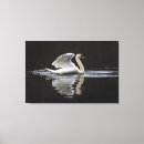 Suche nach schwäne leinwandbilder Elegant