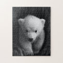 Suche nach weißer und schwarzer bär puzzle Tier