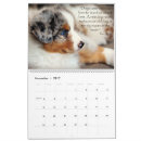 Suche nach schäfer kalender Welpen