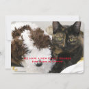 Suche nach lustiges katzen foto einladungen Jede person