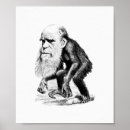 Suche nach charles darwin poster Affe