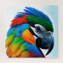 Suche nach bunte vögel puzzle Papagei