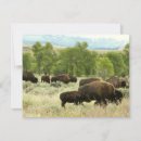 Suche nach wyoming karten Tierwelt