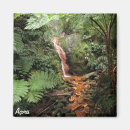 Suche nach quelle magnete Für alle