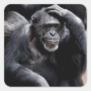 Suche nach ape aufkleber Gorilla