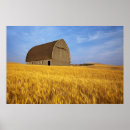 Suche nach alte scheune poster Usa