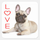 Suche nach french bulldog aufkleber Welpe