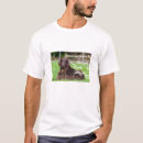 Suche nach merkmale tshirts Für alle