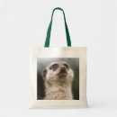 Suche nach meerkat accessoires Kinder