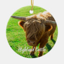 Suche nach rindfleisch ornamente Rinder