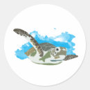 Suche nach schildkröte liebe aufkleber Meeresschildkröten