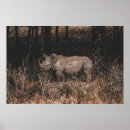 Suche nach nashorn kunst Wild