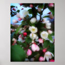 Suche nach kirschblüte baum kunst Frühling