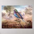 Suche nach afrikanischer vogel poster Tier