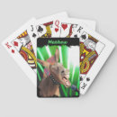 Suche nach esel spielkarten Jede person