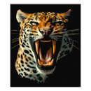 Suche nach brüllen poster Katze
