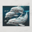Suche nach niedlicher delphin postkarten Jede person